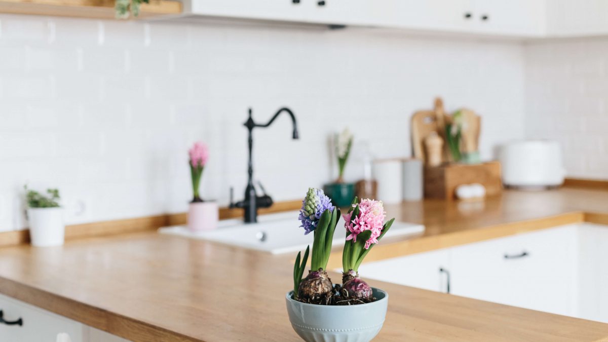 Kwiaty do kuchni – jakie gatunki wybrać?