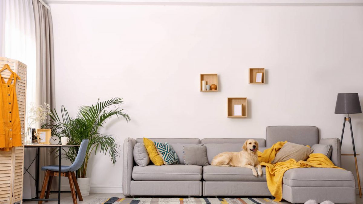 Jak urządzić salon? 4 popularne trendy